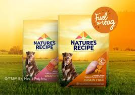 nature s recipe dog food