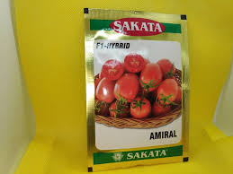 Trademark applications and grants for sakata seed corporation. Tomato Amiral F1 Hybrid Sakata Seeds Farmgate