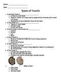 Fossils 2 write the correct answer. Worksheet On Types Of Fossils By Jonathan Furman Tpt