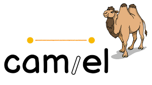 Is your word a tiger or a camel? Phase 3 Full Alphabetic Course Word Reading Comprehension Skills Syllable Division Strategies Camel Word Strategy Guide Minimize Guide Fullscreen Slide Fullscreen Guide Objective Readers Will Learn One Of The Five Strategies To Divide
