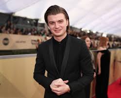 joe keery 13 facts about stranger