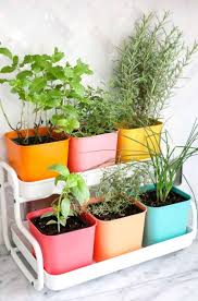 46 Indoor Herb Garden Ideas That Will