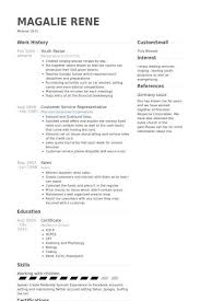 Youth Minister Resume Template Youth Ministry Resume Examples