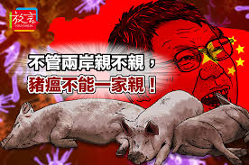 Image result for 中國豬瘟地圖