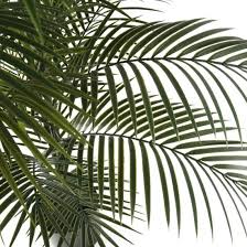 decorative artificial palm tree