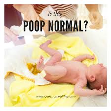 Infant Poop Whats Normal And Whats Not Quest For Health Kc