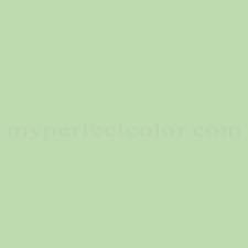 Color Your World 50gy65 246 Spring Sage