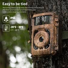 where to put sd card from trail camera