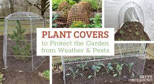 Plant Covers To Protect The Garden From