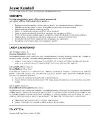 13 Examples Of A Resume For A Job Leterformat