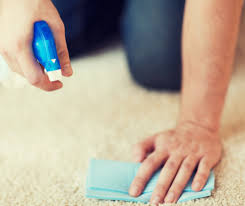 prevent carpet mold and mildew
