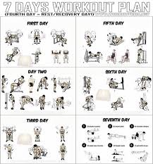 7 Days Workout Plan Full Body Fitness Training Leg Arm