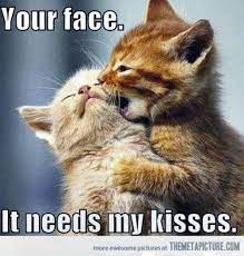 21 cute memes that prove that kissing