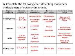 Worksheet Biochemistry Ppt Download