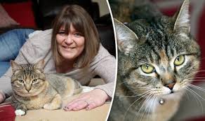 Cancer can occur in any part or system of the body, so its symptoms are very varied. My Cat Diagnosed My Breast Cancer Before I Even Found A Lump Express Co Uk
