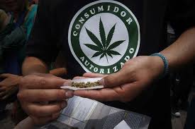 El dictamen sobre la regularización de la marihuana en méxico aprobado en el senado retorna a san lázaro para una última revisión. Smoking Weed Is Now A Human Right In Mexico New Scientist