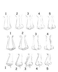 Draw in the right hand nostril wing. How To Draw Noses From The Side How To Images Collection