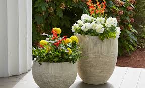 Types Of Planters For Your Garden The