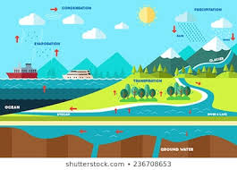Royalty Free Water Cycle Stock Images Photos Vectors