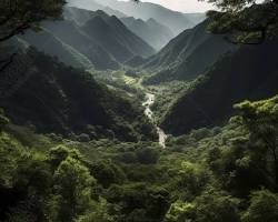 Gambar Pemandangan Gunung dan Hutan yang Hijau Rimbun
