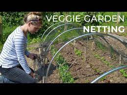 Garden Netting Protecting Crops In The
