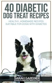 40 diabetic dog treat recipes healthy