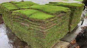 how much does sod cost factors