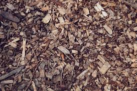 6 of the best wood chips for smoking
