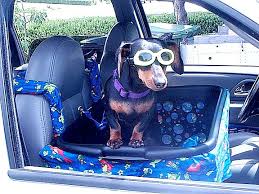 Diy Front Seat Dog Car Seat Dog Car