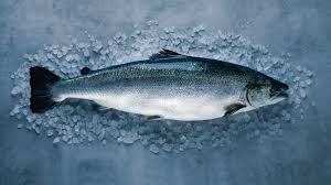 seven reasons to norwegian salmon