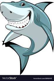 funny white shark royalty free vector