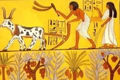 ¿Quién inventó el arado en la prehistoria?