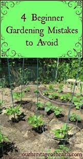 4 beginner gardening mistakes to avoid