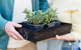 Gifts For A Gardener Mom Confessions