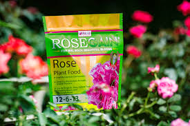 We did not find results for: What You Should Know About Rose Fertilizer Bgi Premium Plant Foods