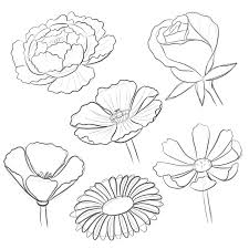 how to draw a bouquet bardot brush