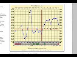Pregnancy Chart Long Cycles Erratic Temperatures