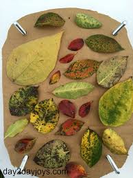 make your own leaf press day2day joys