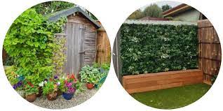 How To Hide Ugly Garden Features