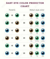 Baby Predictor Eye Color Chart Template