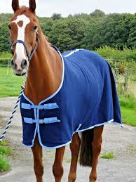 pony horse rugs
