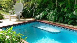 diy plunge pools ideas and planning tips