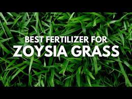 best fertilizer for zoysia gr
