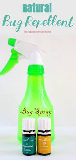 homemade bug spray recipe made with all