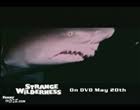 Laughing Shark - Strange Wilderness from Paramount Home Entertainment via Relatably.com