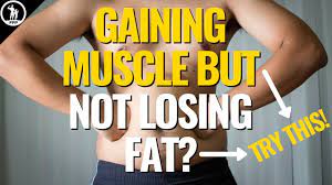 gaining muscle but not losing fat