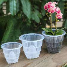 Clear Plastic Orchid Pots With Holes