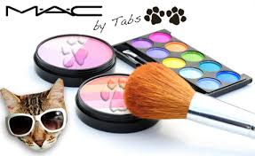 cat makeup and beauty mascot apr