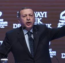 Niederlande protestieren gegen türkische einmischung. Verfassung Berlin Und Brussel Unterstutzen Niederlande Im Streit Mit Der Turkei Welt