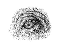 You can also see masterfully designed charcoal drawings. How To Draw Animal Eyes With Pen And Ink